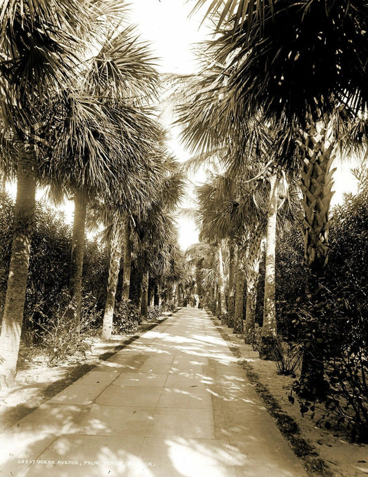 1910 Ocean Ave, Palm Beach, Florida Vintage Old Photo Reprint