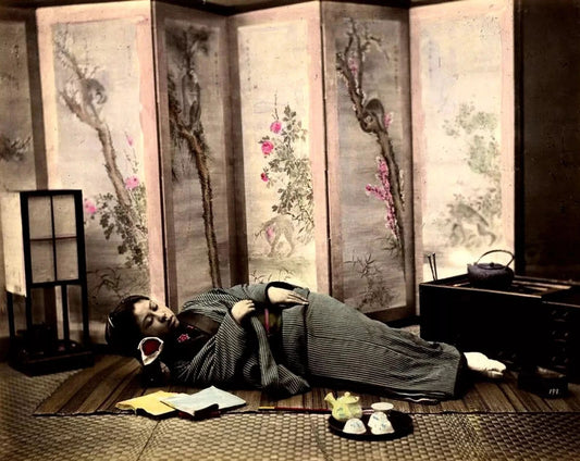 1880S Japan Sleeping Woman Dressed As A Geisha Retro Picture Magnet