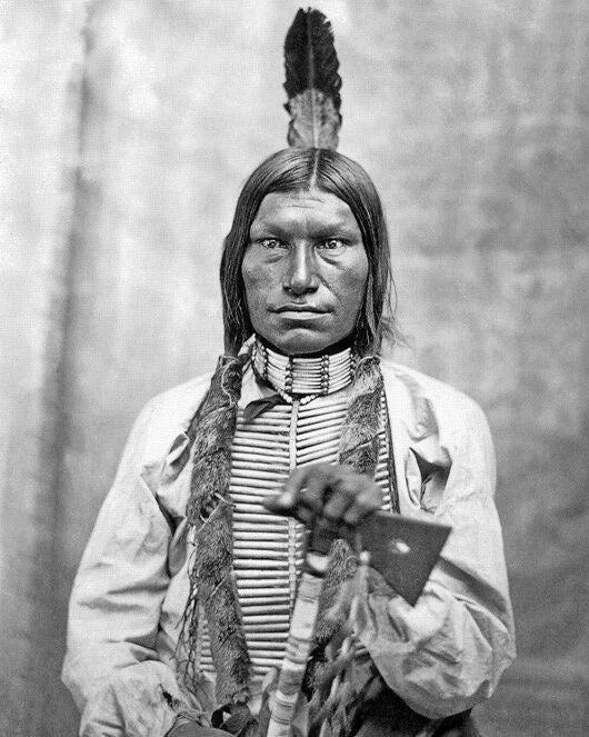 1881 Native American Indian Chief Low Dog Magnet Oglala Sioux Magnet