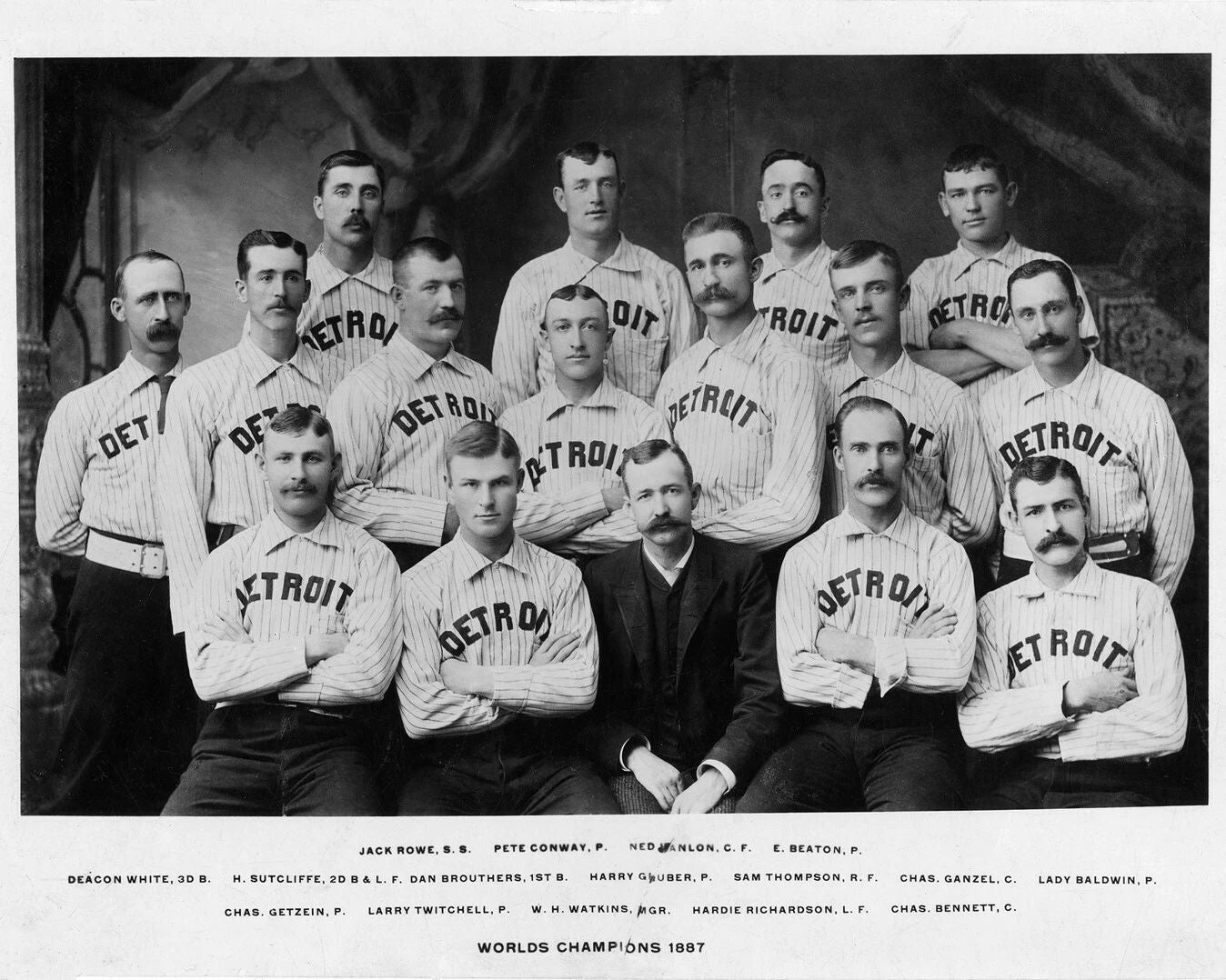 1887 Detroit Wolverines Team Photo Baseball Mlb Picture