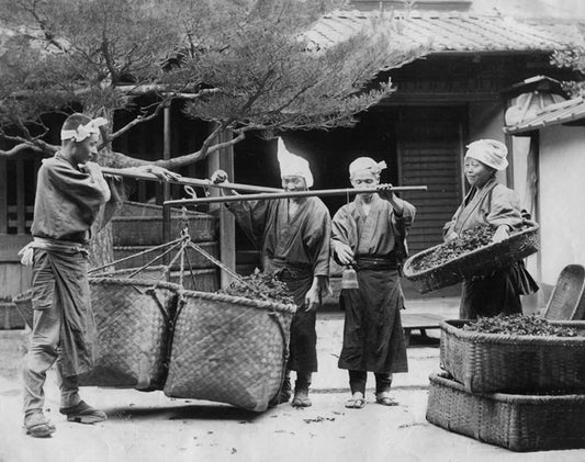 1887 Japan Weighing Tea Historic Japanese Work Life Retro Picture Photo