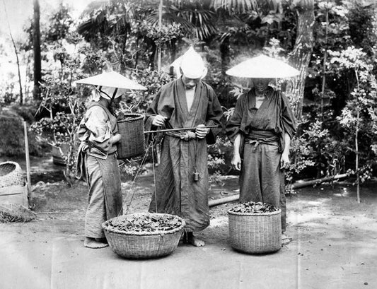1887 Japan Weighing Tea Historic Japanese Working Men Retro Picture Magnet