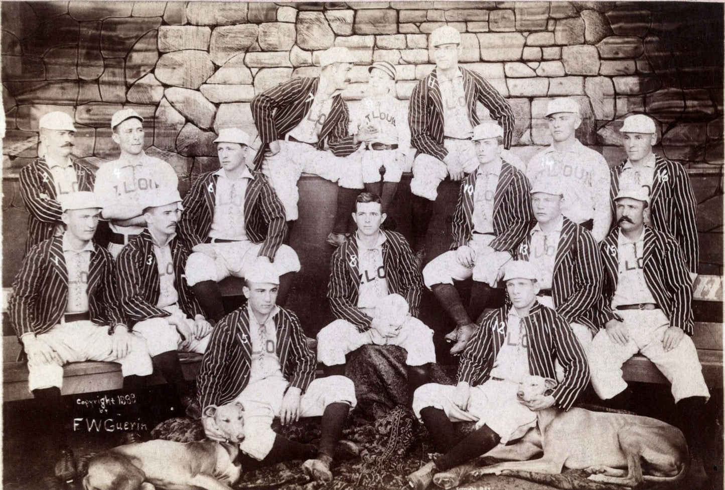 1888 St. Louis Browns Team Baseball American Association 300 Piece Jigsaw Puzzle