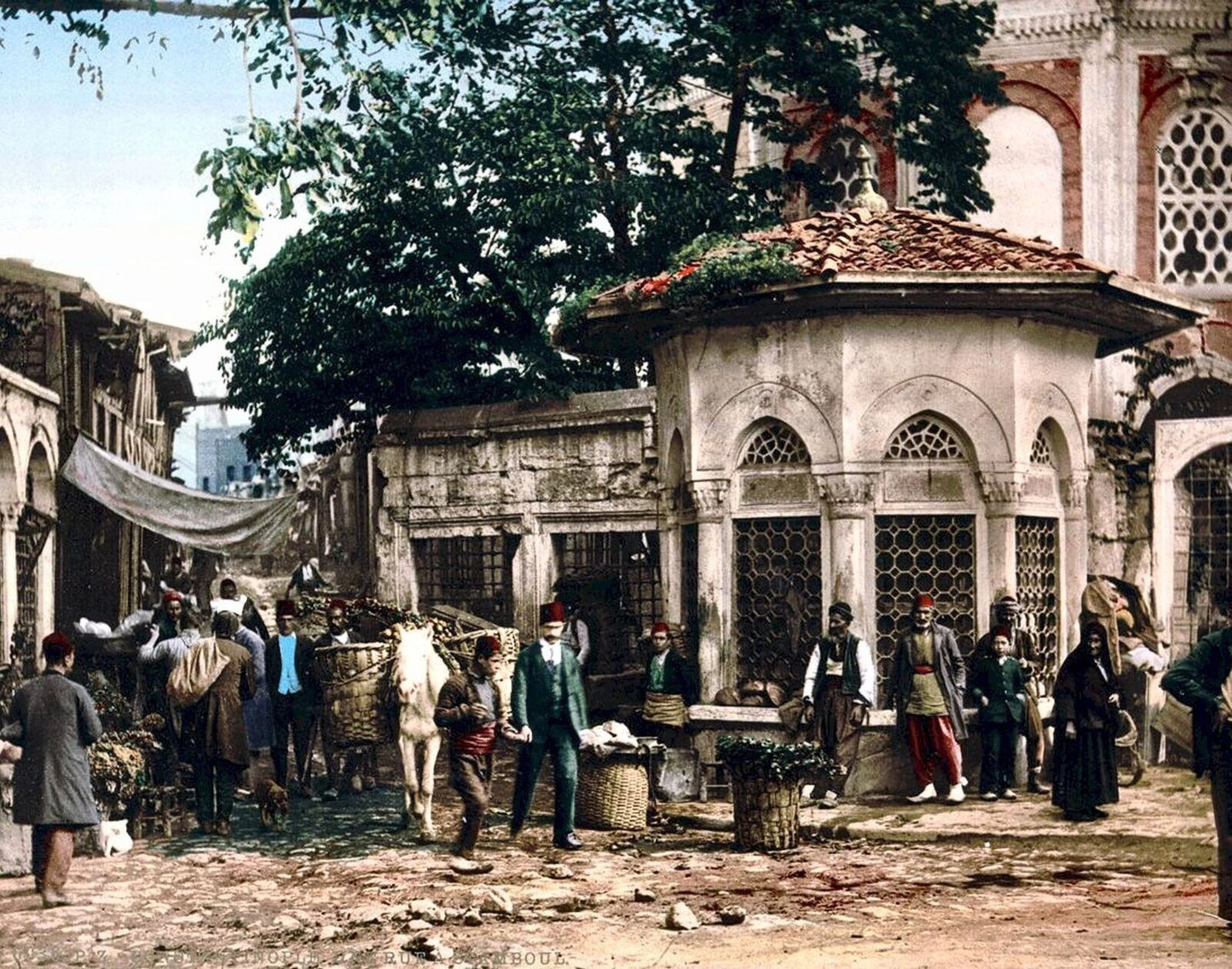 1891 Constantinople Turkey Cityscape Streets Magnet Magnet Art Print