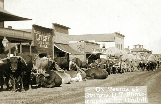 1892 Ox Teams At Sturgis Dakota Territory Vintage Old Keychain Reprint