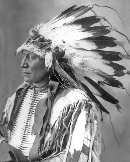 1898 Chief Hollow Horn Bear Glossy Photo Native American Sioux Indian Print