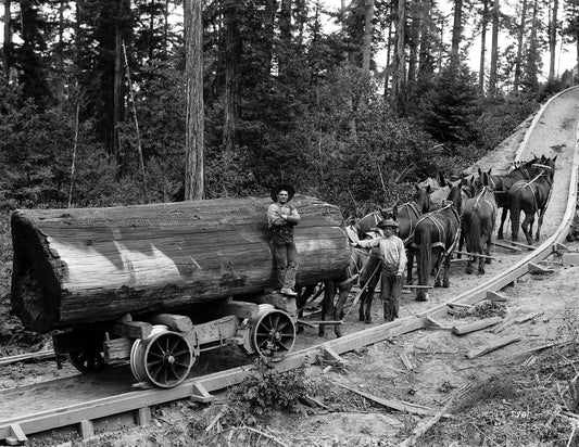 1902 Horse Logging Wagon On Railway Ca Vintage Old Keychain Reprint