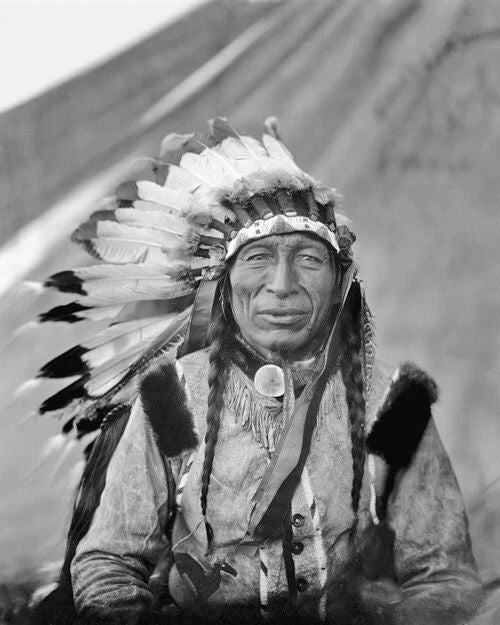 1905 Native American Indian Chief Iron Tail Photo Lakota Sioux Print Poster