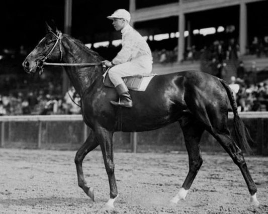 1907 Champion Racehorse Colin Glossy Keychain Print Horse Keychain