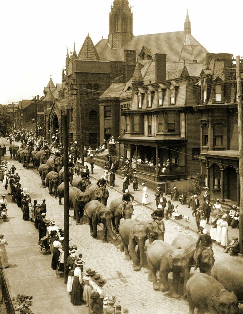 1910 Circus Parade 12Th Ave Altoona Pa Old Historic Picture Magnet