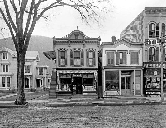 1910 Farrington Drug Store Delhi New York Old Photo Reprint