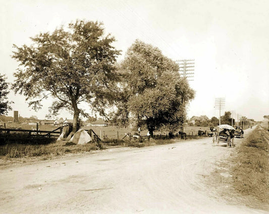 1910 Half Way Rock Lansing Michigan Vintage Retro Old Photo Reprint