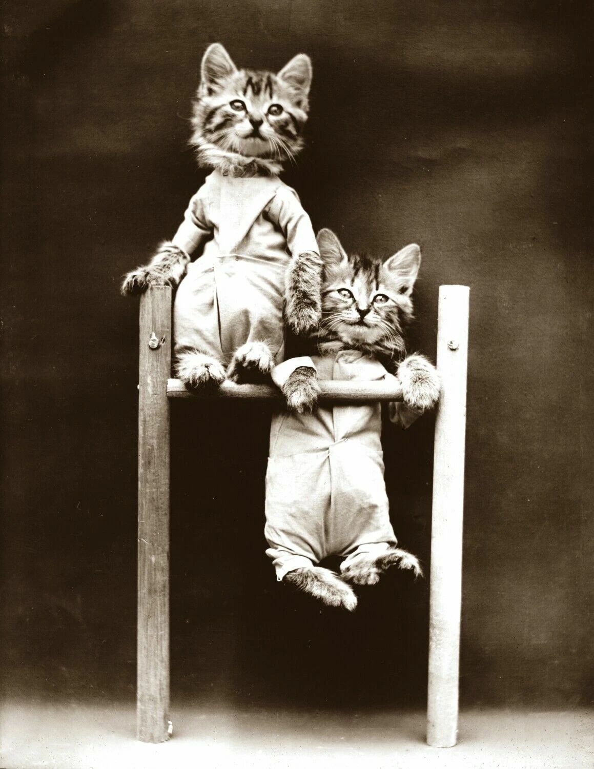 1914 Acrobatic Kittens Vintage Magnetgraph Picture Reprint