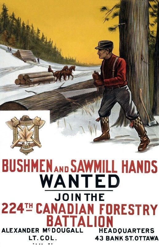 1915 Join The 224Th Canadian Forestry Battalion Picture Magnet Magnet