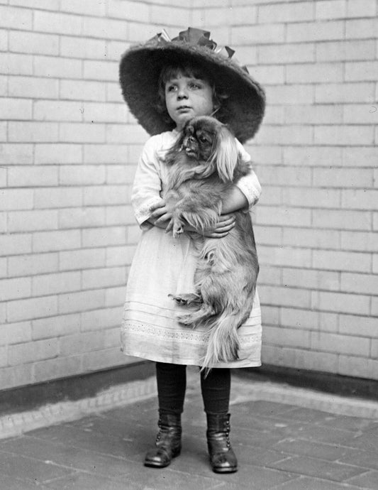 1915 Young Girl With Her Dog Vintage Old Puppy Picture Poster Photo Print