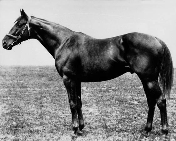 1919 Triple Crown Racehorse Sir Barton Glossy Magnet 1St Tc Horse Print