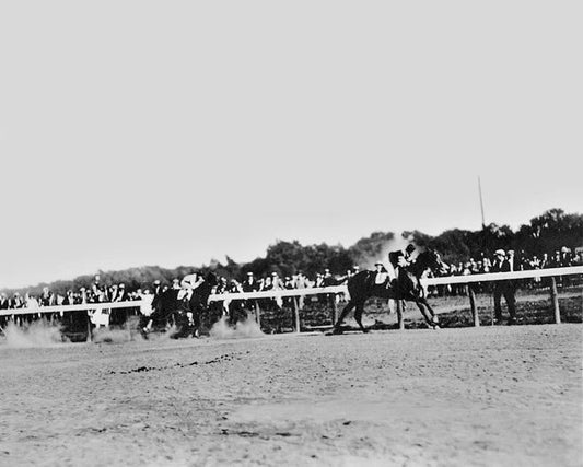 1920 Champion Racehorse Man O War Glossy Photo Horse Print