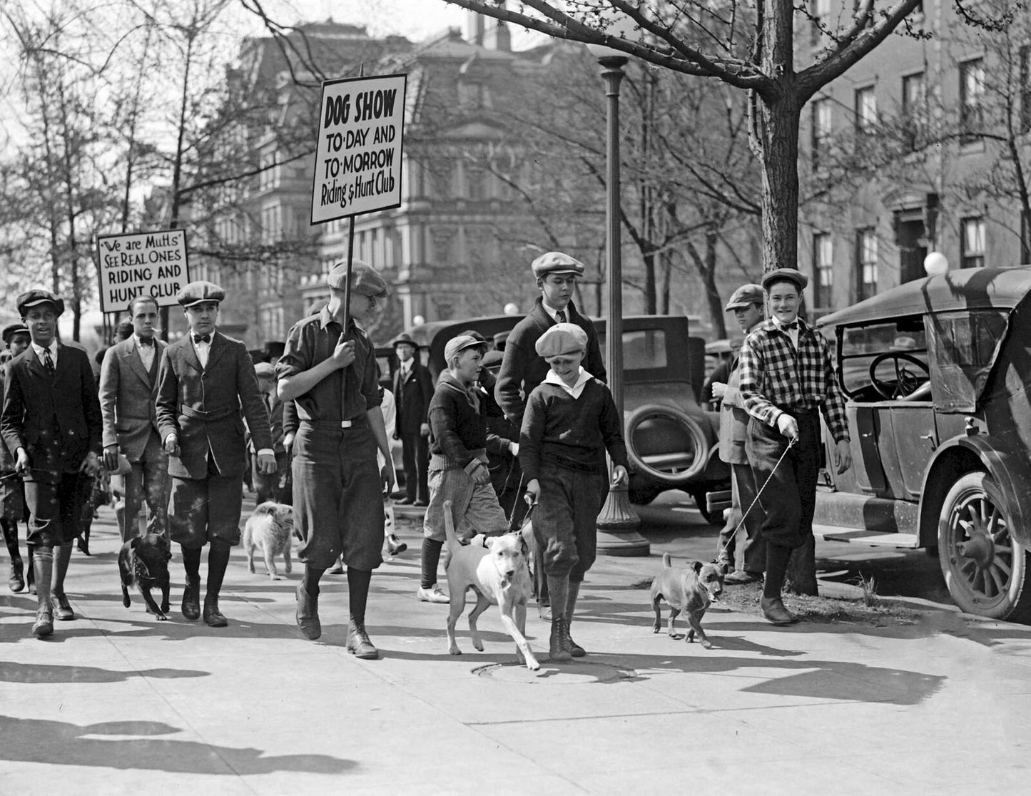 1925 Parade Of Muts Vintage Old Dogs Pets Walking Photo Reprint