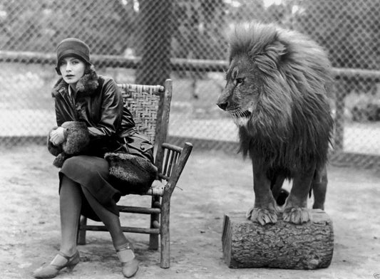 1926 Actress Greta Garbo & The Mgm Lion Classic Publicity Picture Magnet