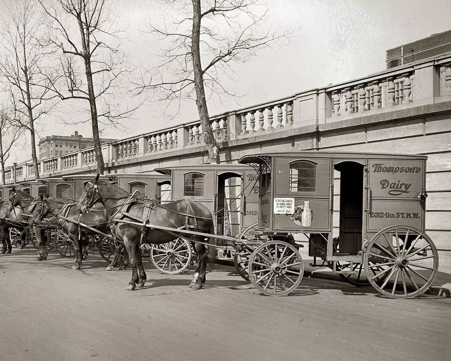 1927 Horse Drawn Dairy Delivery Wagons Vintage Retro Picture Photo