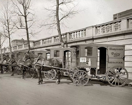 1927 Horse Drawn Dairy Delivery Wagons Vintage Retro Picture Magnet