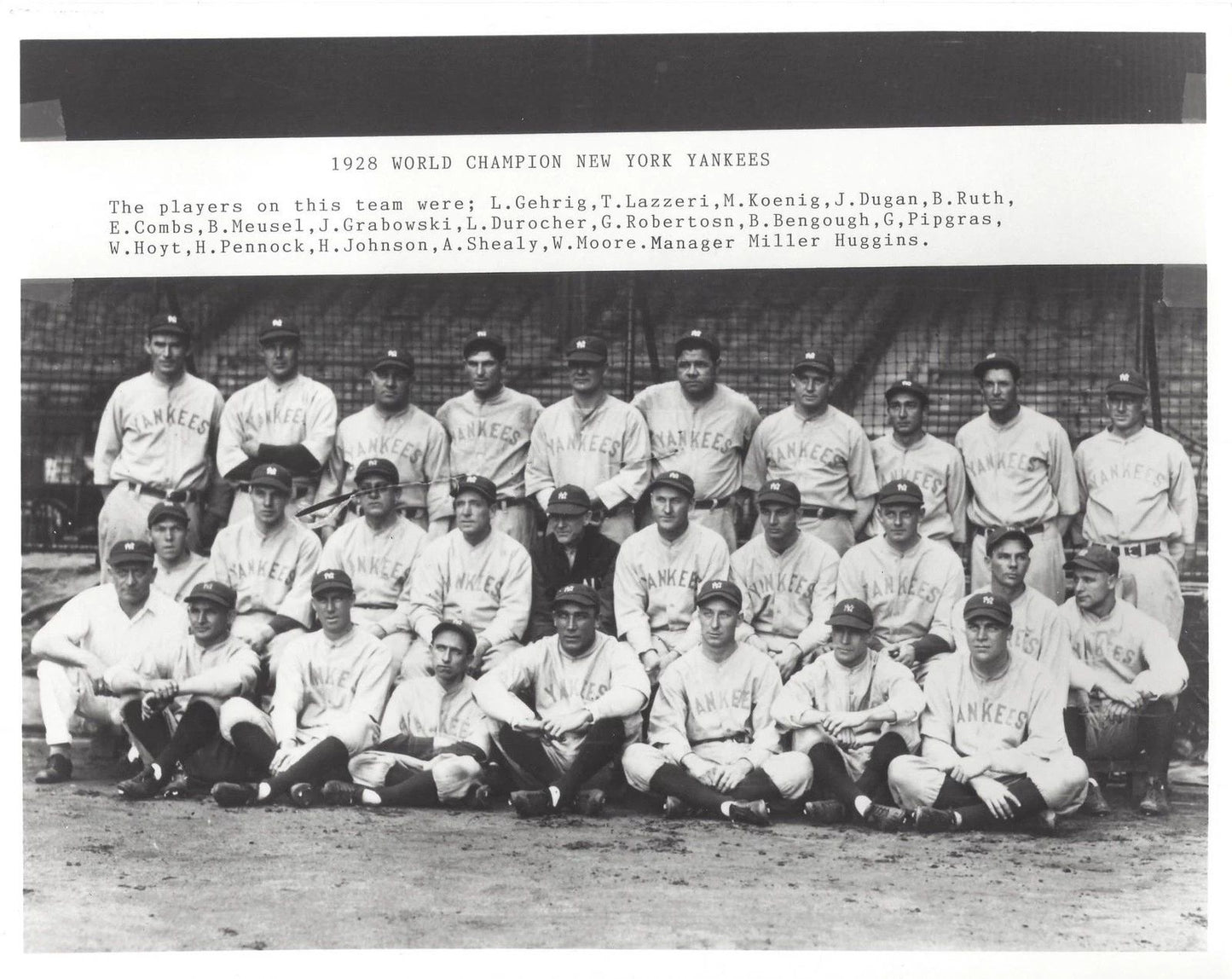 1928 New York Yankees Team Photo Baseball Mlb Picture Ny World Champs