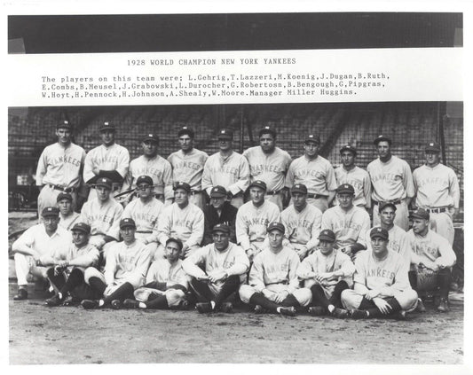 1928 New York Yankees Team Photo Baseball Mlb Picture Ny World Champs