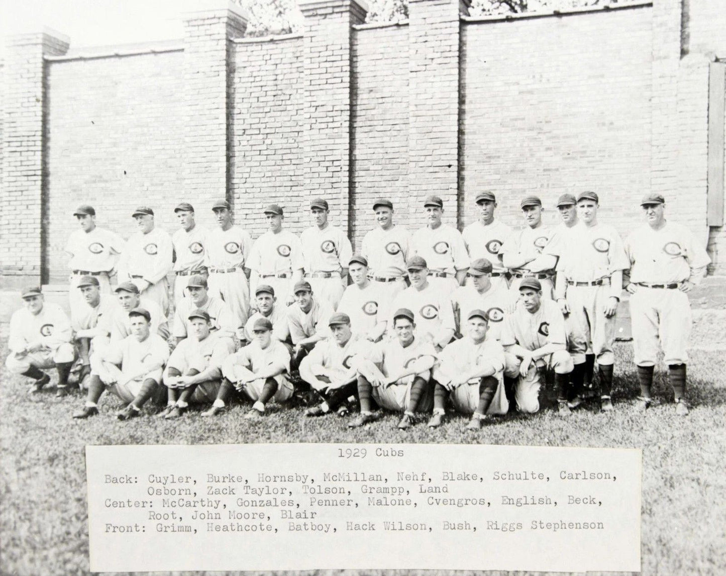 1929 Chicago Cubs Team Photo Baseball Mlb Picture