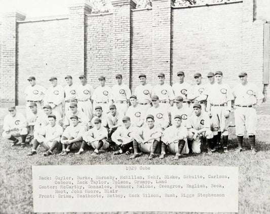1929 Chicago Cubs Team Photo Baseball Mlb Picture