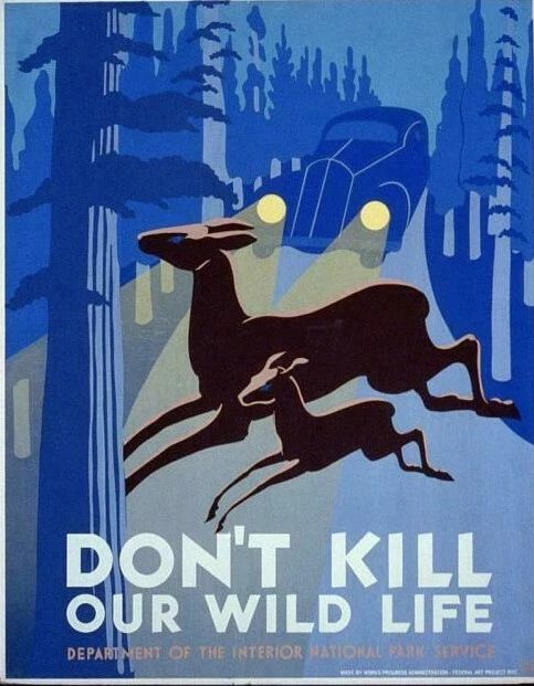 1930 1940 Don'T Kill Our Wild Life Deer Crossing Poster Picture Photo Car