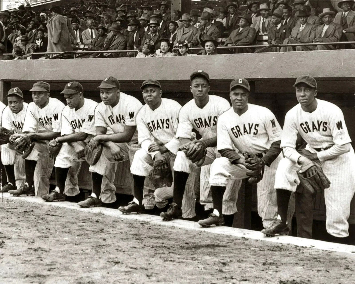 1930 Homestead Greys Negro League African American Baseball Picture Magnet