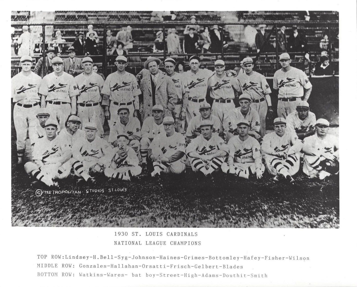 1930 St. Louis Cardinals Team Photo Baseball Mlb Picture
