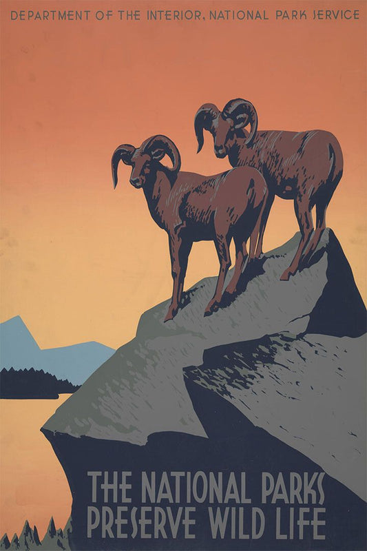 1930S National Parks Preserve Wild Life Vintage Wpa Travel Wall Poster