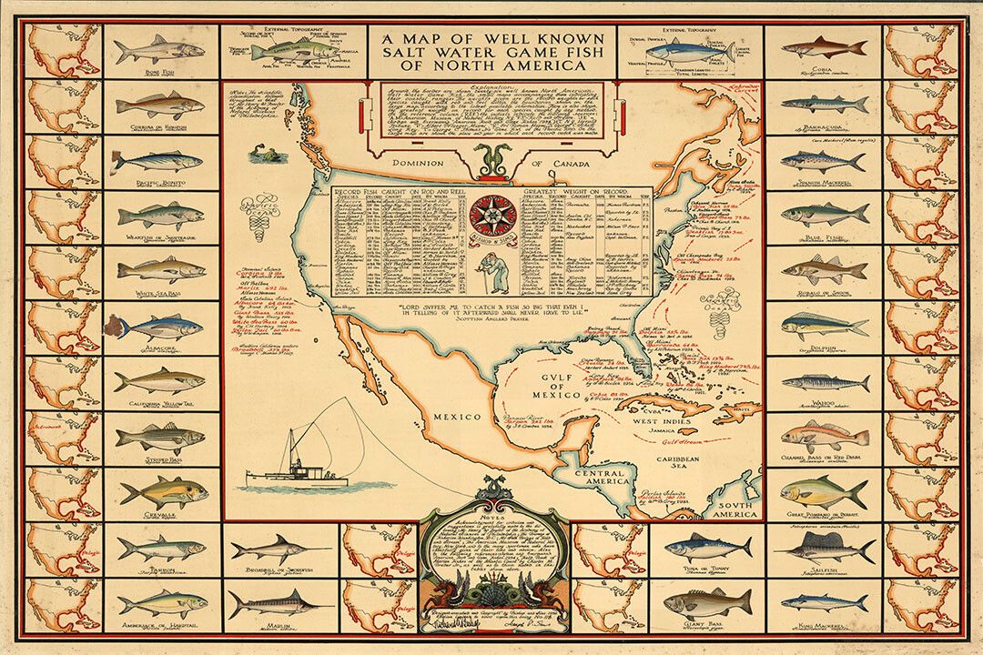 1930S Saltwater Game Fish Map North America Fishing Map Magnet