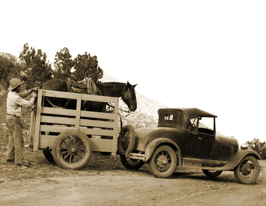 1931 Loading A Horse On A Trailer Arizona Old Magnet Print Reprint