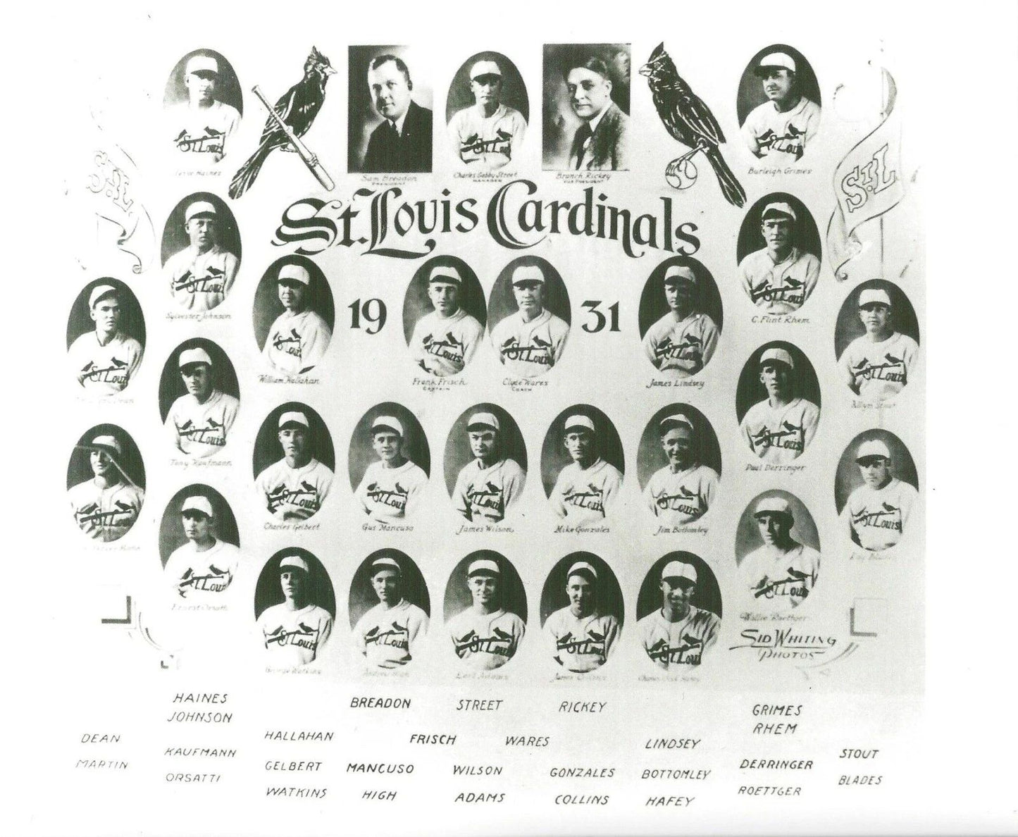 1931 St. Louis Cardinals Team Photo Baseball Picture Mlb 300 Piece Jigsaw Puzzle