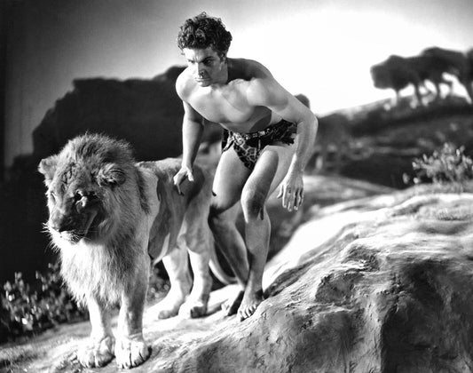 1933 Buster Crabbe In King Of The Jungle Poster Photo 300 Piece Jigsaw Puzzle