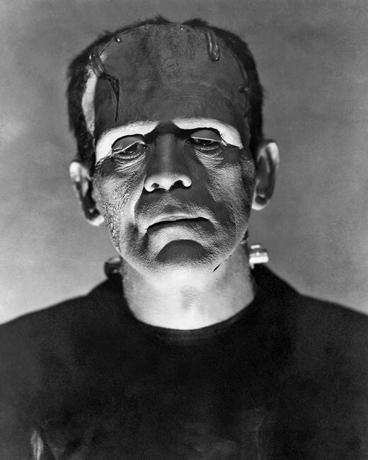 1935 The Bride Of Frankenstein Magnet Boris Karloff Magnet Celebrity Print