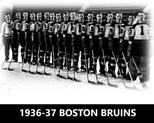 37 Boston Bruins Team Magnet Hockey Picture Nhl