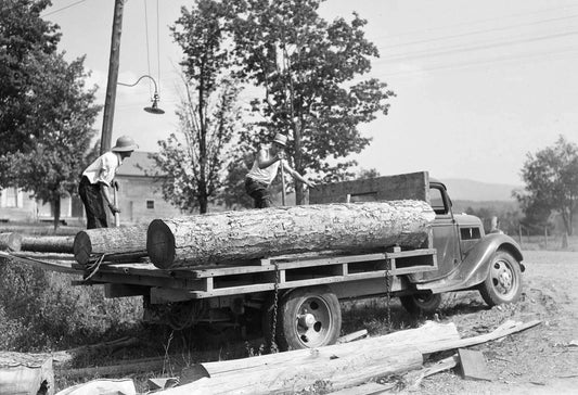 1937 Loading Lumber On A Truck Lamoille County Vt Old Magnet Reprint