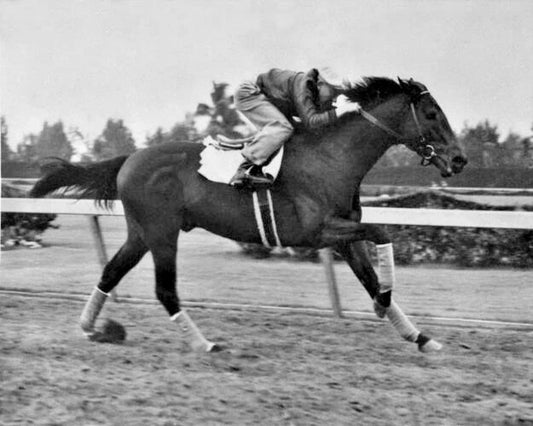 1937 Triple Crown Racehorse War Admiral Magnet Charles Kurtsinger Magnet