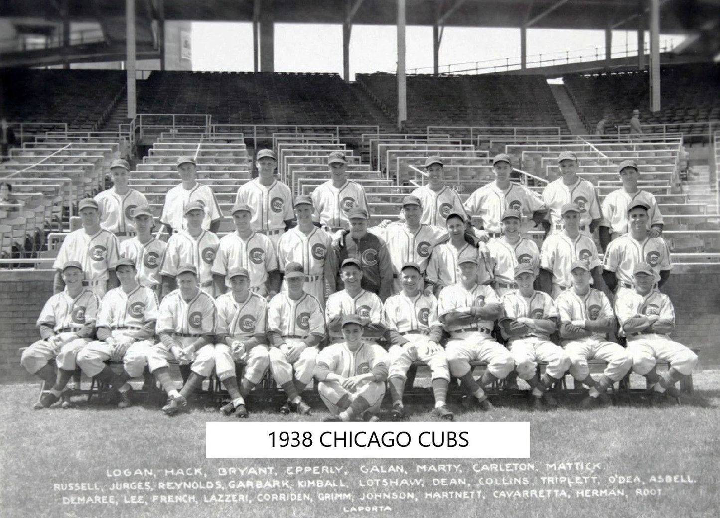 1938 Chicago Cubs Team Photo Baseball Mlb Picture
