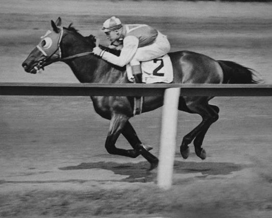 1938 Champion Racehorse Seabiscuit Glossy Photo Print Thoroughbred Horse