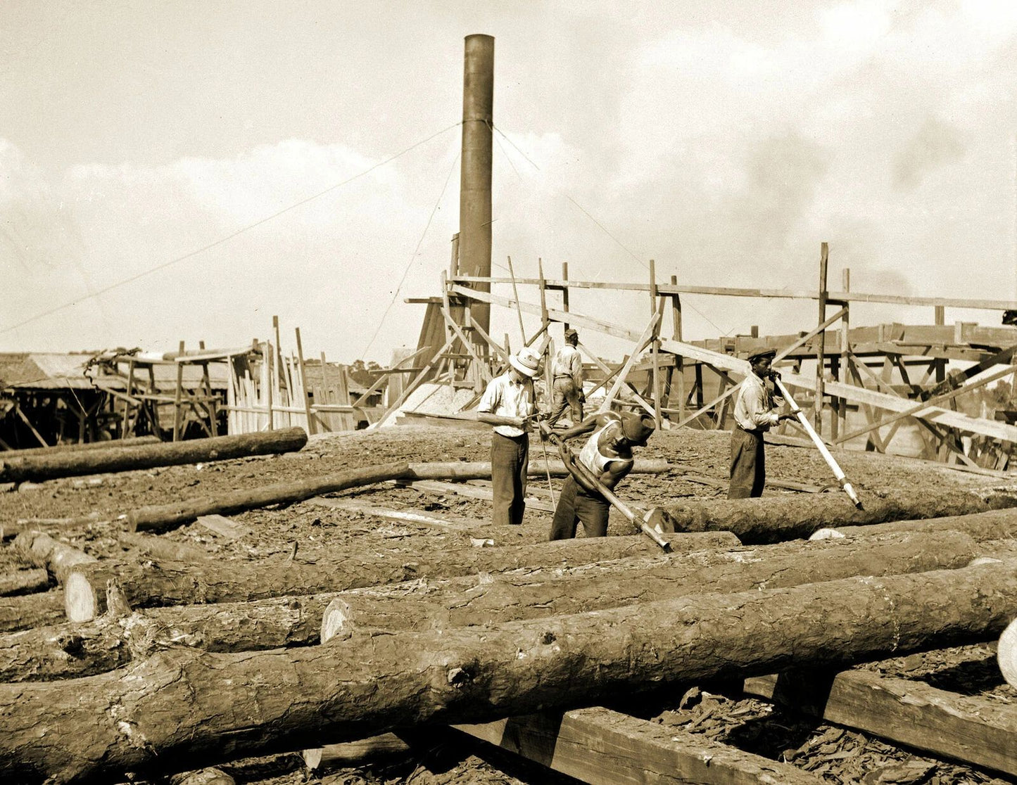 1939 Logs At A Sawmill Childs Florida Vintage Old Photo Reprint