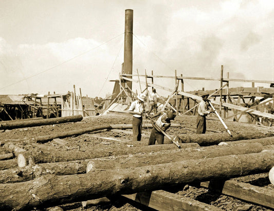 1939 Logs At A Sawmill Childs Florida Vintage Old Magnet Reprint