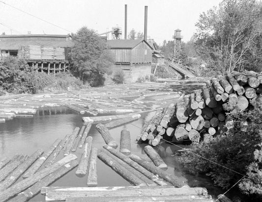 1939 Sawmill On Marys River Corvallis Oregon Vintage Picture Keychain Keychain