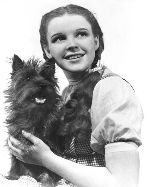 1939 The Wizard Of Oz Keychain Actress Judy Garland Keychain Dorothy Print 3