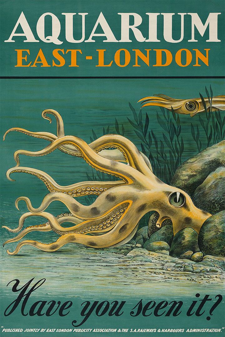 1939 Visit The London Aquarium Octopus Vintage Travel Magnet