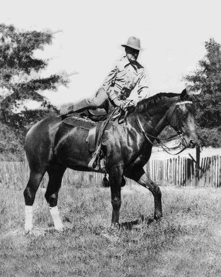 1941 Champion Racehorse Seabiscuit Glossy Magnet Print Horse Magnetgraph