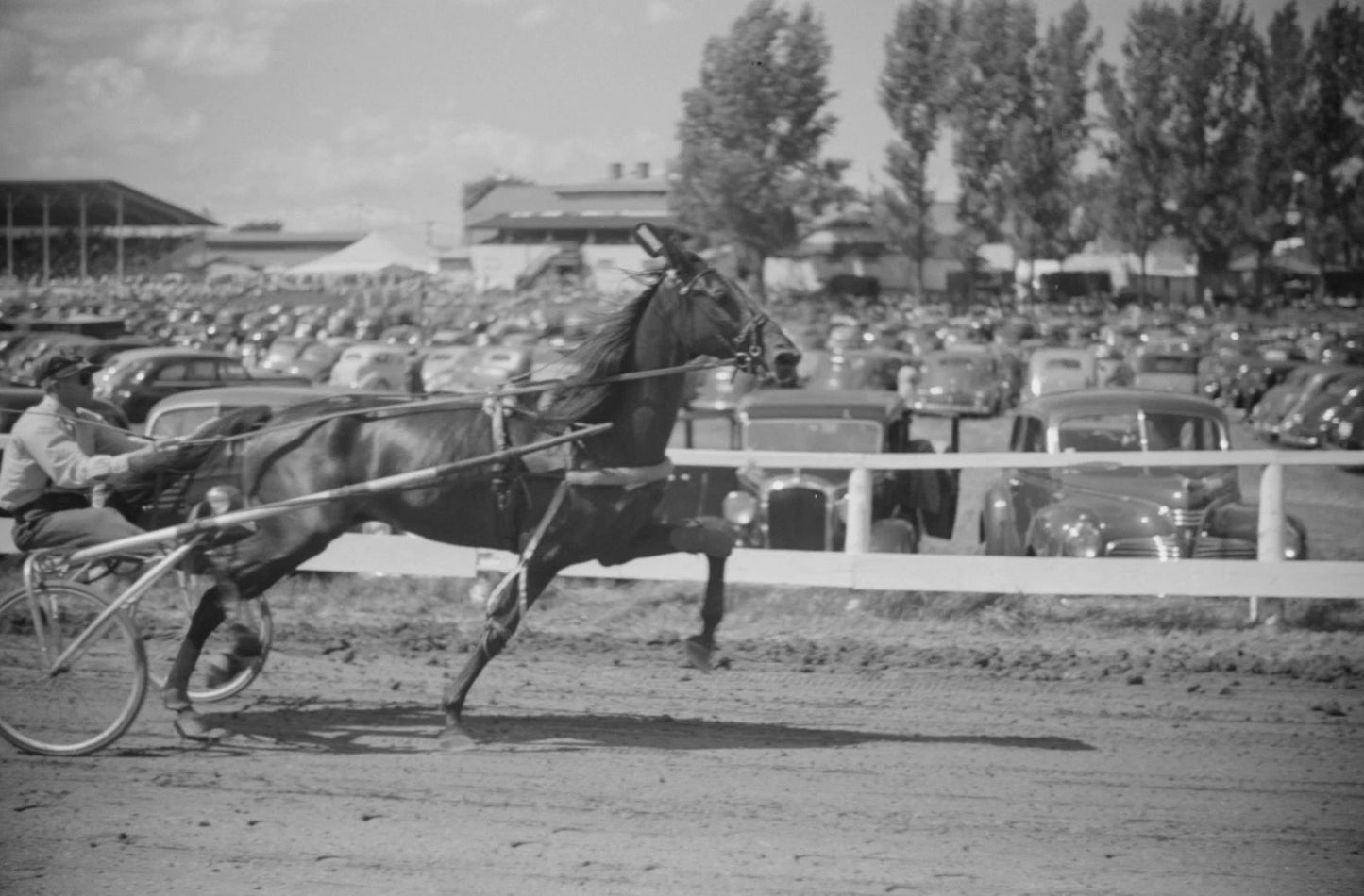 1941 Horse Chariot Racing At Rutland Fair Old Vintage Picture Magnet